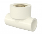 Te Trans Aquatherm Tigre 22Mmx3/4"