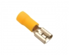 Terminal Recep Femea Am 6,5Mm 24A 20Pcs Blister 1866V
